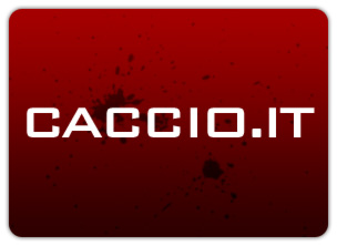 Caccio.it